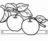 Apfelbaum Malvorlage Malvorlagen sketch template