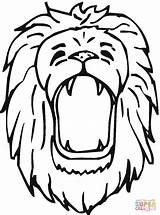 Roaring Leone Lions Ruggito Roars Getdrawings sketch template