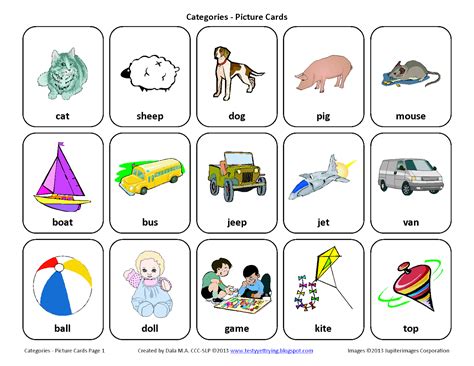 testy   sorting  category  speech therapy picture cards