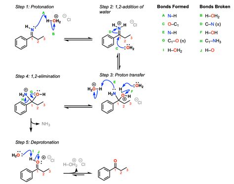 simple hydrolysis reaction