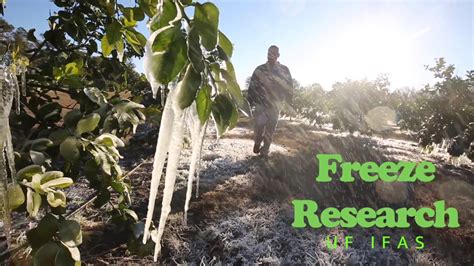 freeze protection research youtube