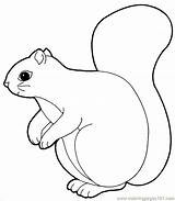 Squirrel Coloring Printable Pages Color Coloringpages101 Mammals Online Kids Animals sketch template