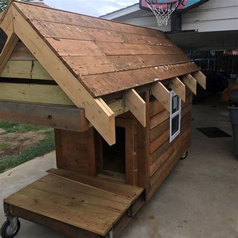 build  dog house