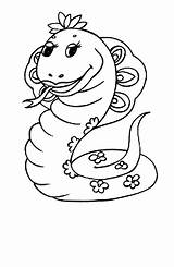 Anaconda Colorat Desene Planse Reptile Animale Designlooter sketch template