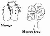 Mango Coloring Printable Tree Kids Drawing Colouring Pages Pdf Open Print  Getdrawings sketch template