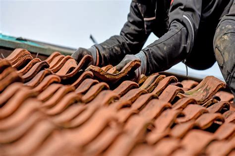 roofing market report uk   ama research