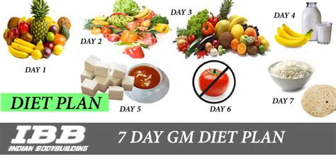days gm diet   indian vegetarian diet  lose