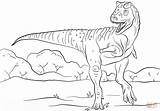 Carnotaurus Dinosaurs sketch template
