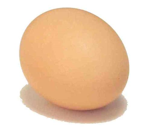 egg cookeatshare