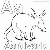 Aardvark Coloring Pages Getcolorings Print Getdrawings Drawing sketch template