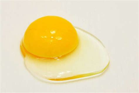 diary   poultry farmer  yellow yolked eggs