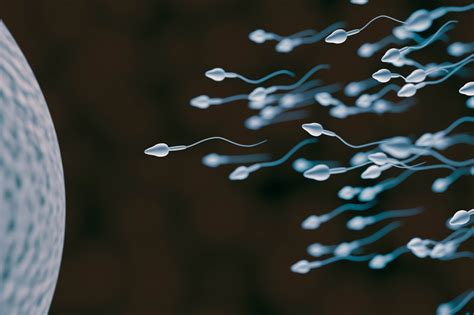 sperm and egg cell fertilization concept 3d rendered illustration