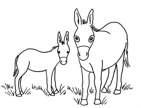 donkey  printable cute  sketch coloring page