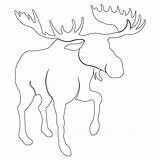 Moose Pattern Template Single Head Patterns Crafts Sweetdreamsquiltstudio Outline Stencil Drawing Antlers Templates Painting Height Default Getdrawings Decor Printable Fartsy sketch template