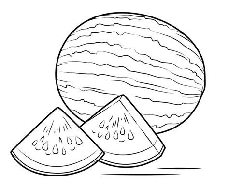 watermelon fruit coloring pages  students educative printable
