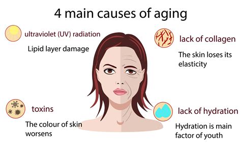 slm     skin healthy   age
