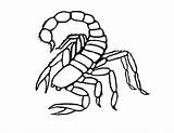 Scorpion Coloring Pages Color Scorpio Print Kids Printable Drawing Animals Easy Kombat Mortal Getcolorings Animal Getdrawings Lovely Sheets Bestcoloringpagesforkids sketch template