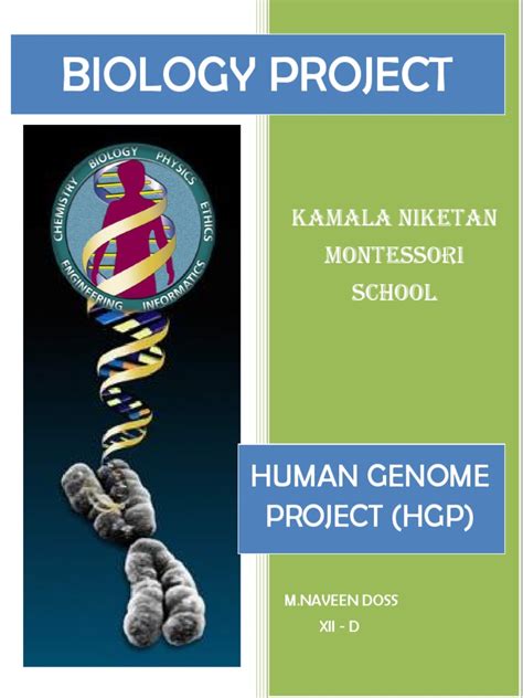 biology class 12 project human genome base pair