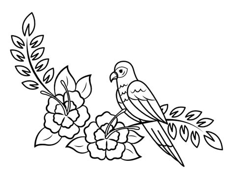 coloring pages  tropical bird