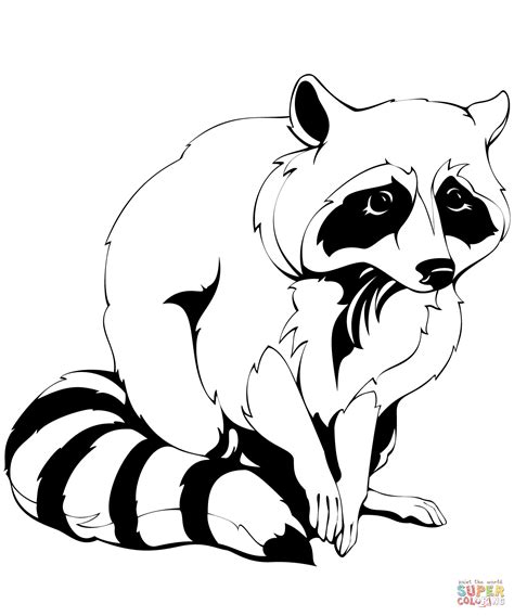 raccoon outline coloring pages