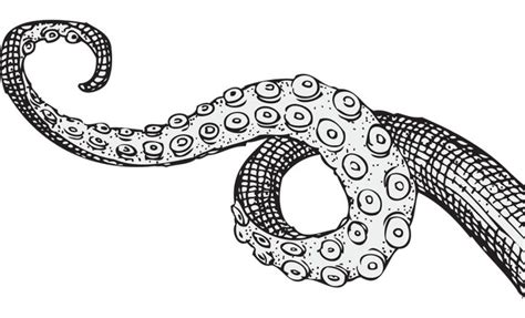 resultado de imagen  tentacles  art shchupaltsa eskizy
