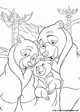 Koda Orso Fratello Oso Hermano Coloriage Frere Ours Kleurplaat Kenai Colorir Ausmalbilder Bärenbrüder Disney Ausmalbild Imprimir sketch template