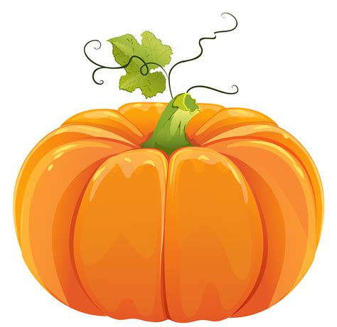 pumpkin clipart   cliparts  images  clipground