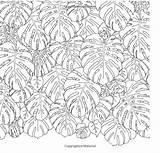 Tropical Pages Coloring Leaves Template Flower sketch template