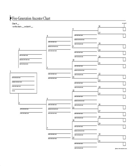 family tree template   word  document downloads