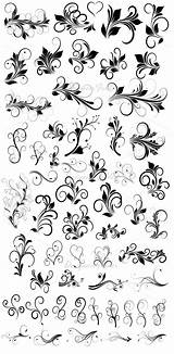 Flourish Designs Tattoo Vectors Choose Board Vector Drawings Royalty Flourishes Borders Swirls sketch template