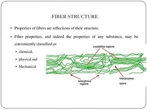 fiber structure theories