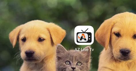 az  tv wonderful apk   worldwide channels  movies