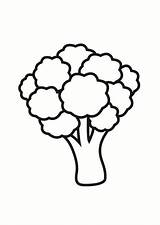 Broccoli Brocoli Brokkoli Coloring Kleurplaat Brocolli Para Colorear Dibujo Malvorlage Fargelegge Bilde Pages Dibujos Ausmalbilder Coloriage Zum Printable Imprimir Popular sketch template