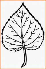 Blatt Malvorlage Modisch Pflanzen 1113 Bildgröße Geschrieben sketch template