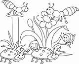 Coloring Pages Insect Insects Kids sketch template