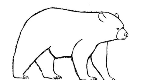 pictures black bear coloring page gft coloring  clipart