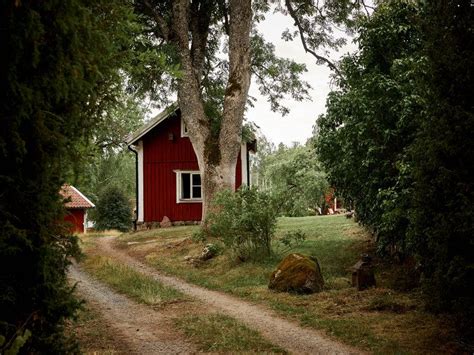 traditional swedish farm surrounded  nature  nordroom