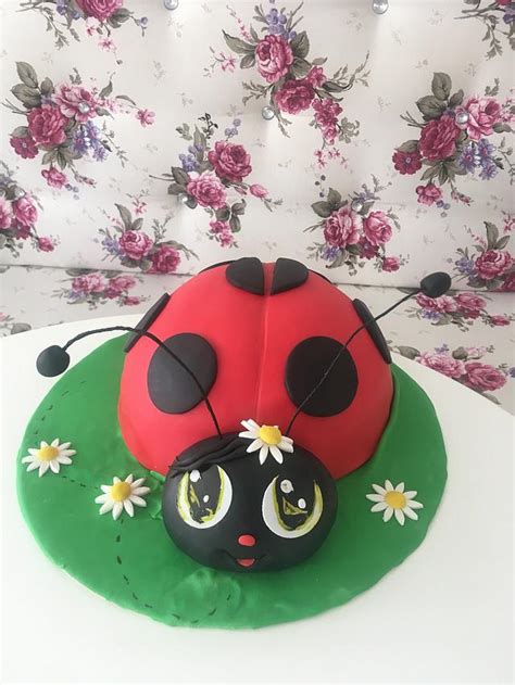 ladybug cake decorated cake  doroty cakesdecor