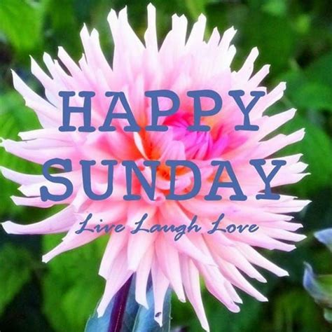 happy sunday hd images wallpaper pictures  happy sunday quotes