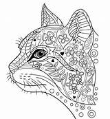 Kleurplaten Kleurplaat Volwassenen Mindfulness Katten Printen Downloaden Uitprinten sketch template