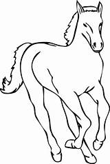 Horse Outline Clipart Clip Transparent sketch template