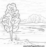 Coloring Landscape Pages Sheets Outline Adults Forest Choose Board Clouds Drawing sketch template