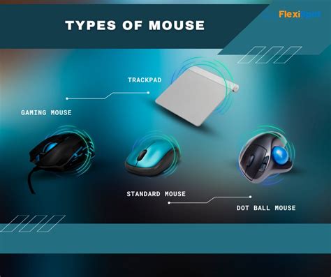 types  computer mouse    flexispot