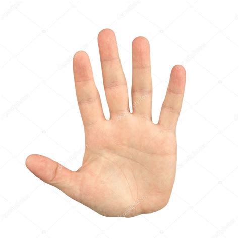 palm hand gesture stock photo  deduhin
