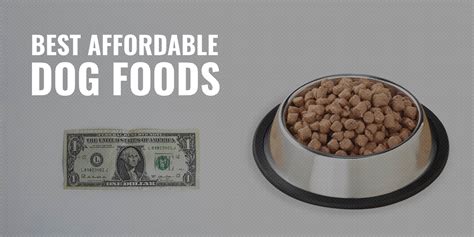 affordable dog foods cheaper moist dry freeze dried foods