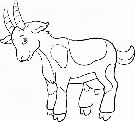 mountain goat drawing  getdrawings