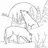 Wolf Coloring Pages Adults Printable Animal Wolves Print Detailed Color Wild Colouring Adult Moon Sheets раскраски Gif Books Birthday Sheet sketch template
