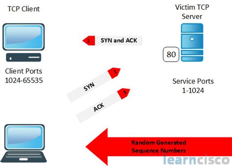 Spoofing Man In The Middle Botnets Dos And Ddos Explained Iins 210 260