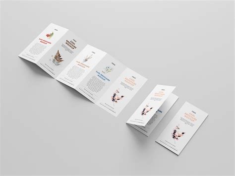 accordion fold brochure template