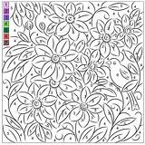Nicole Clematis Number Color Florian Coloring Created Thursday May sketch template